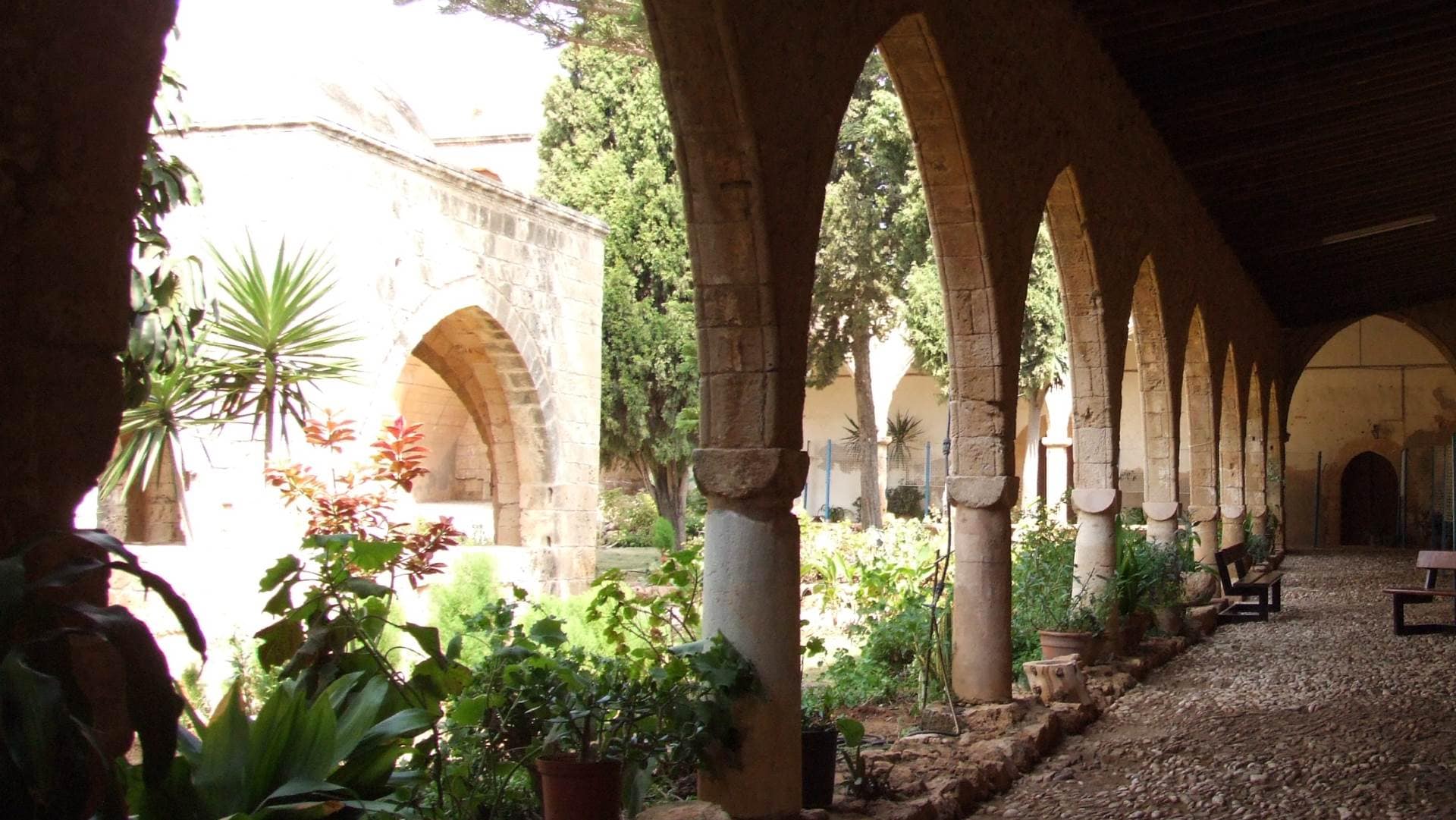 Монастырь Панагии Айя Напы (Кипр)