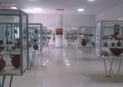 Археологический музей Ларнаки (Кипр)