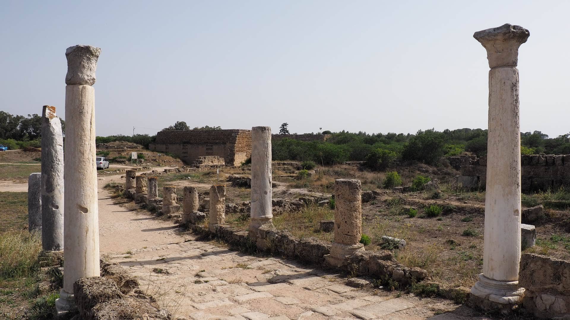 Колонны в археопарке Саламин (Кипр)