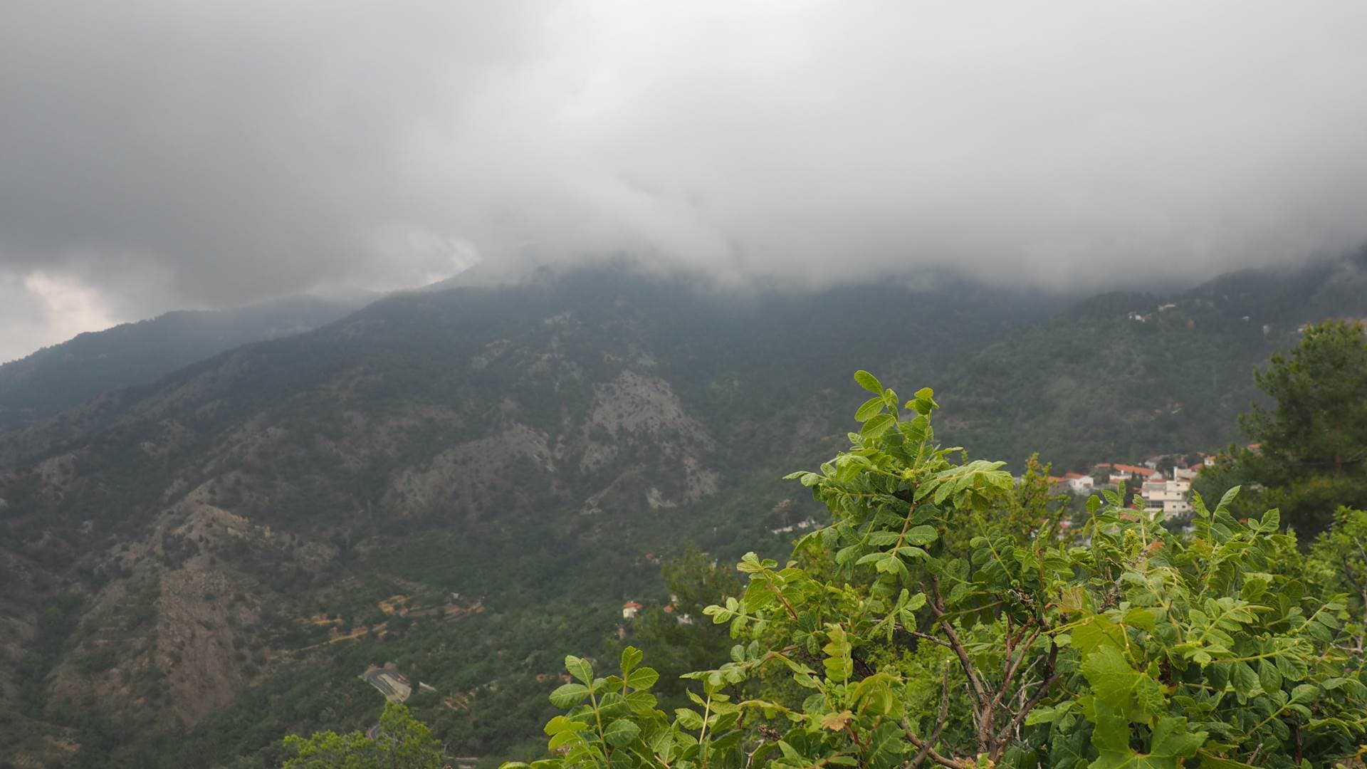 Монастырь Троодитисса (Кипр)