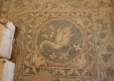 Мозаика "Лебедь", археопарк Соли (Кипр)