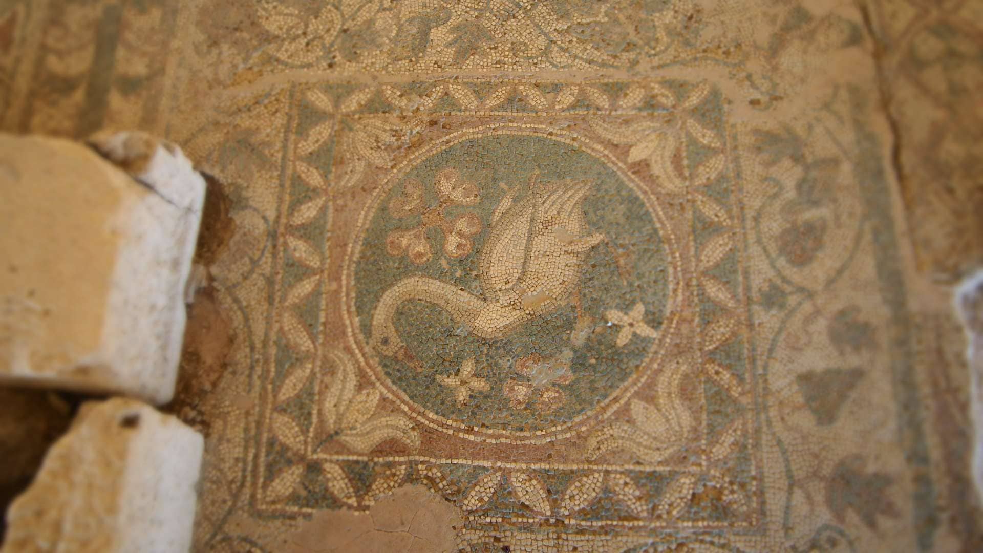 Мозаика "Лебедь", археопарк Соли (Кипр)