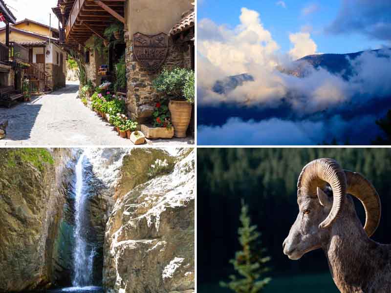 «День в горах Кипра» — натуралистические экскурсии