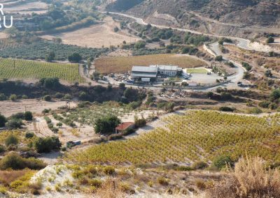Панорама винодельни Christoudia в деревне Като Дрис (Кипр)