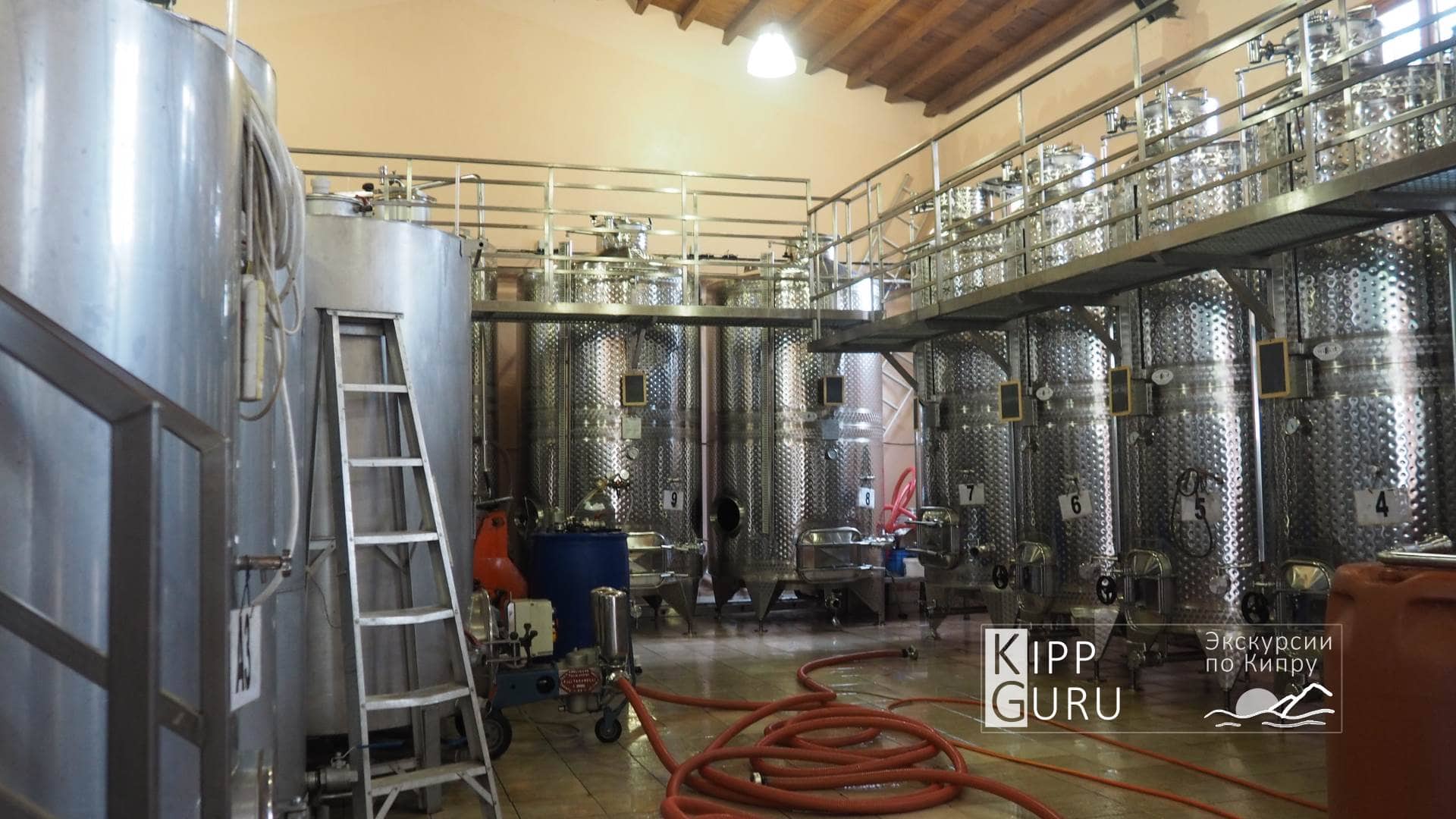 Производственный цех на винодельне (Кипр)