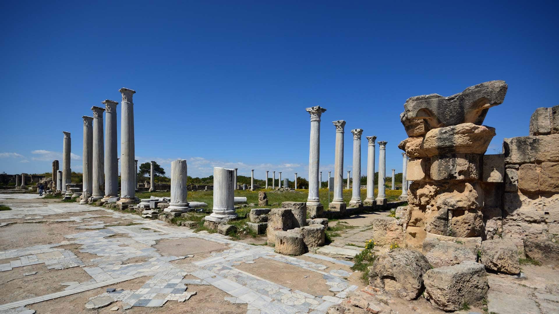 Мраморные колонны Саламиса (Кипр)