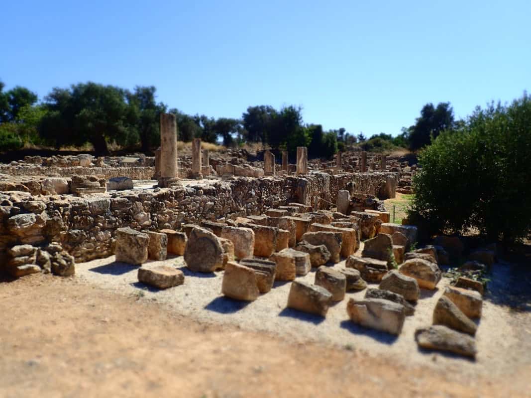 ayia_trias_kiprguru_1067_004